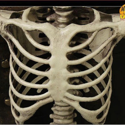 Giant Realistic Skeleton Prop