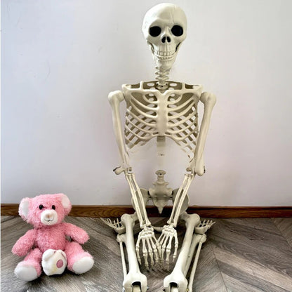 Giant Realistic Skeleton Prop