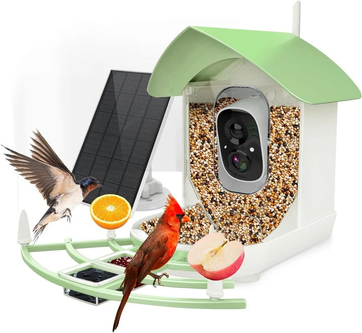 Wireless Bird Feeder Cam with Night Vision and Wi-Fi - Befez