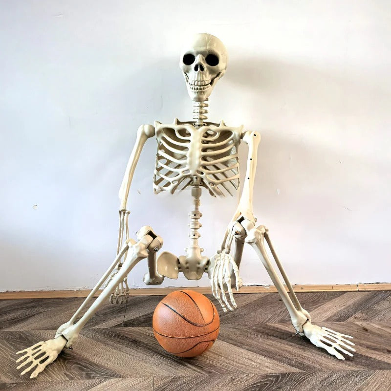 Giant Realistic Skeleton Prop - Befez