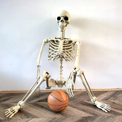 Giant Realistic Skeleton Prop - Befez
