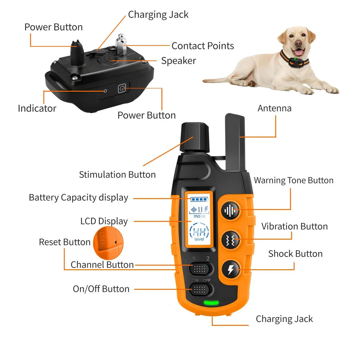 Wireless Pet Training Collar System
