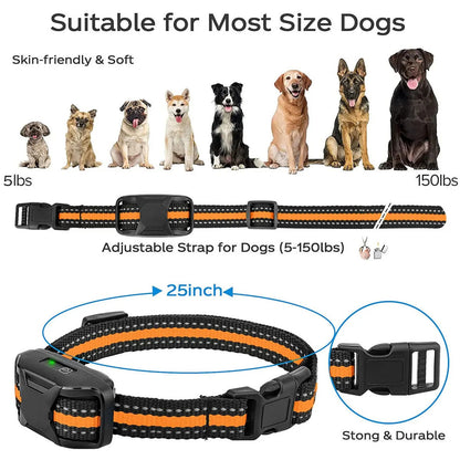 Wireless Pet Training Collar System