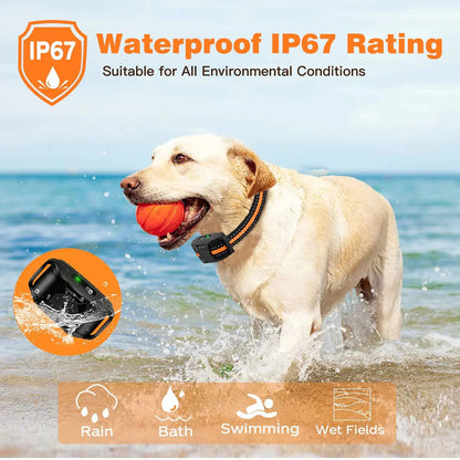 Wireless Pet Training Collar System