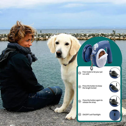 Professional Dog Walker and Pet Sitter Service