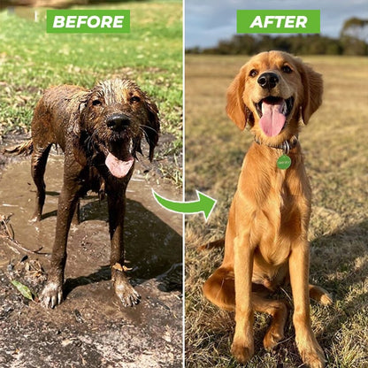Gentle Pet Shower Spray