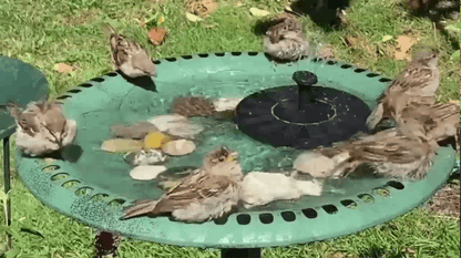 Soothing Outdoor Water Fountain with Solar Power
