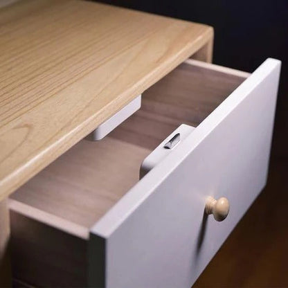 Secure Electronic Storage Lock