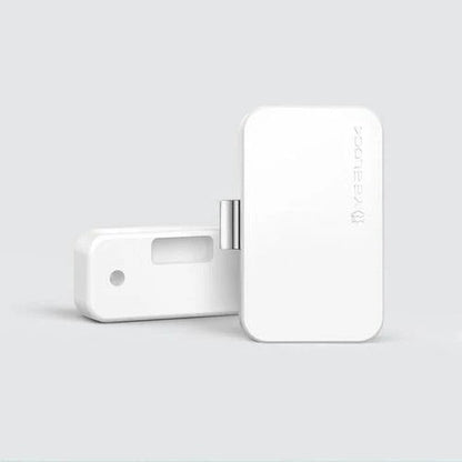 Secure Electronic Storage Lock