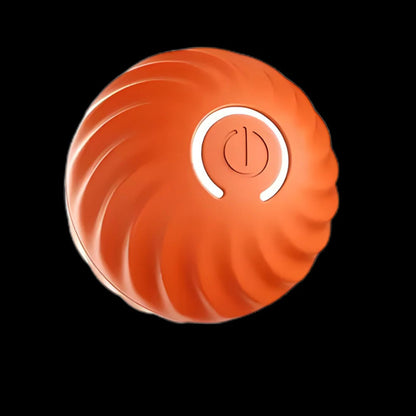 Fun Electronic Pet Toy Ball