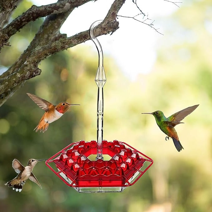 Squirrel Resistant Hummingbird Feeder Hanging Garden Hook - Befez