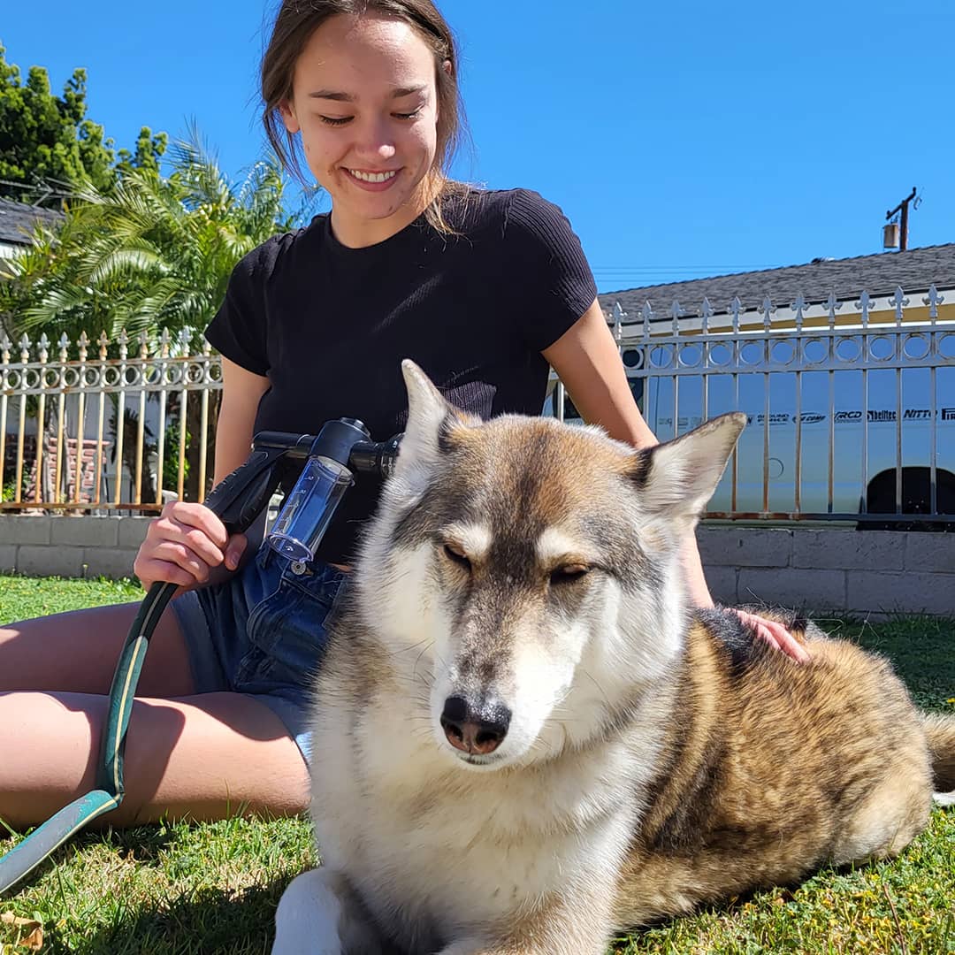 Pet Shower Head - Easy Dog Washer