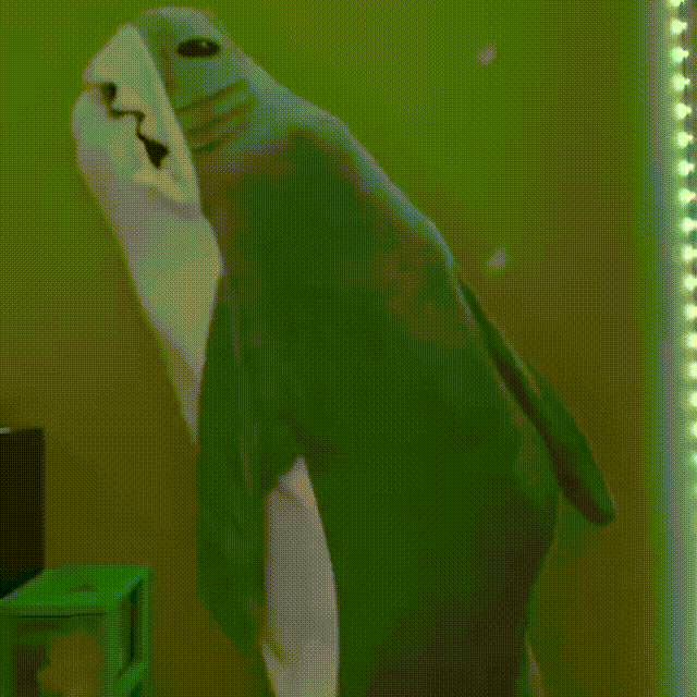 Soft Shark Throw Blanket for Kids Adults