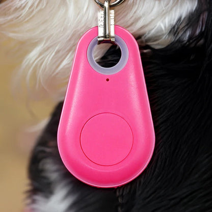 Accurate Pet GPS Location Device