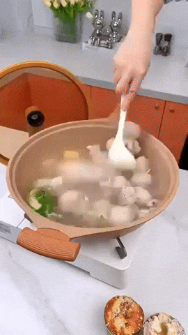 Premium Non-Stick Wok with Steamer Insert