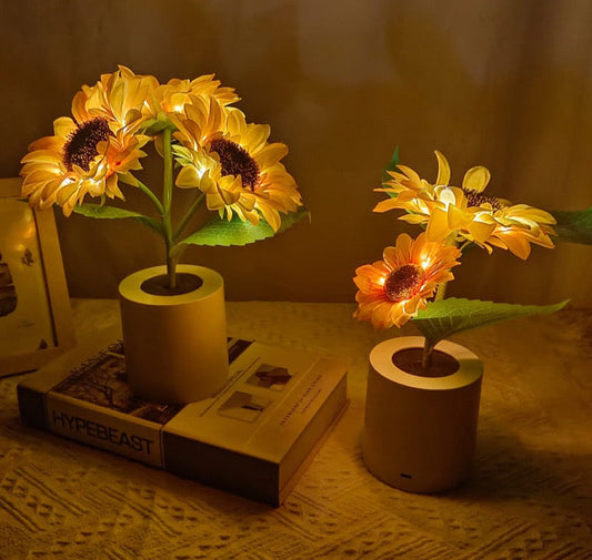 Bright Solar Powered Table Lamp - Befez