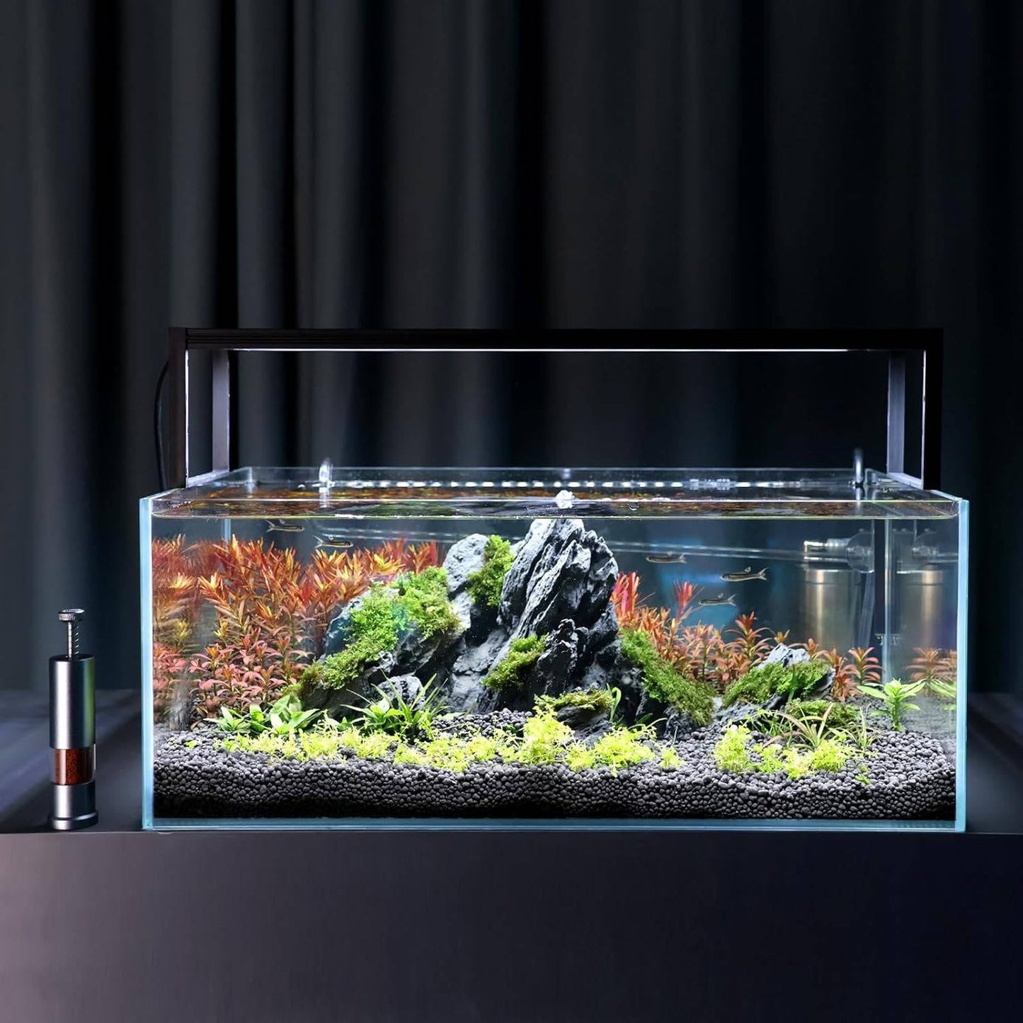 Small Auto Fish Food Dispenser