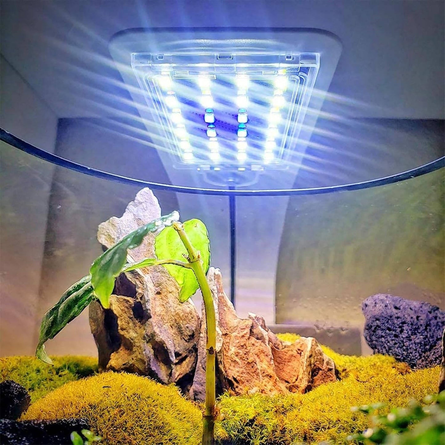 Thin LED Aquarium Light for Aquatic Plants