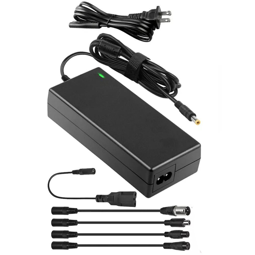 Fast Electric Bike Battery Charger - Befez