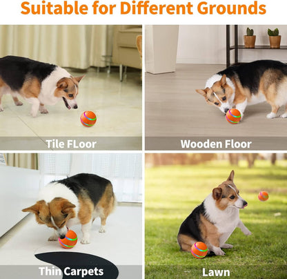 Fun Bouncy Dog Play Ball