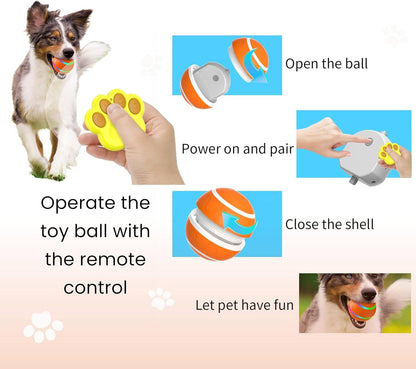 Fun Bouncy Dog Play Ball