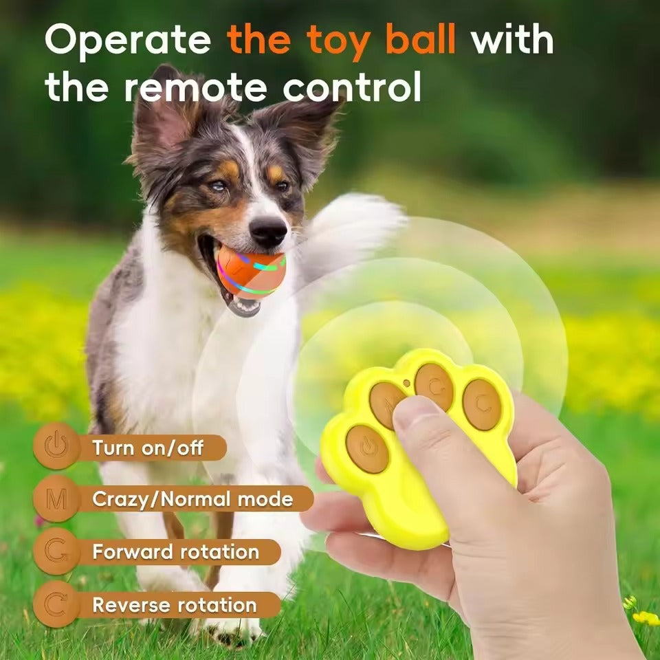Fun Bouncy Dog Play Ball
