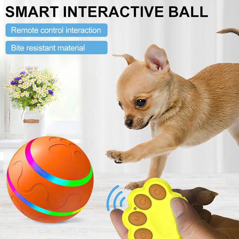 Fun Bouncy Dog Play Ball