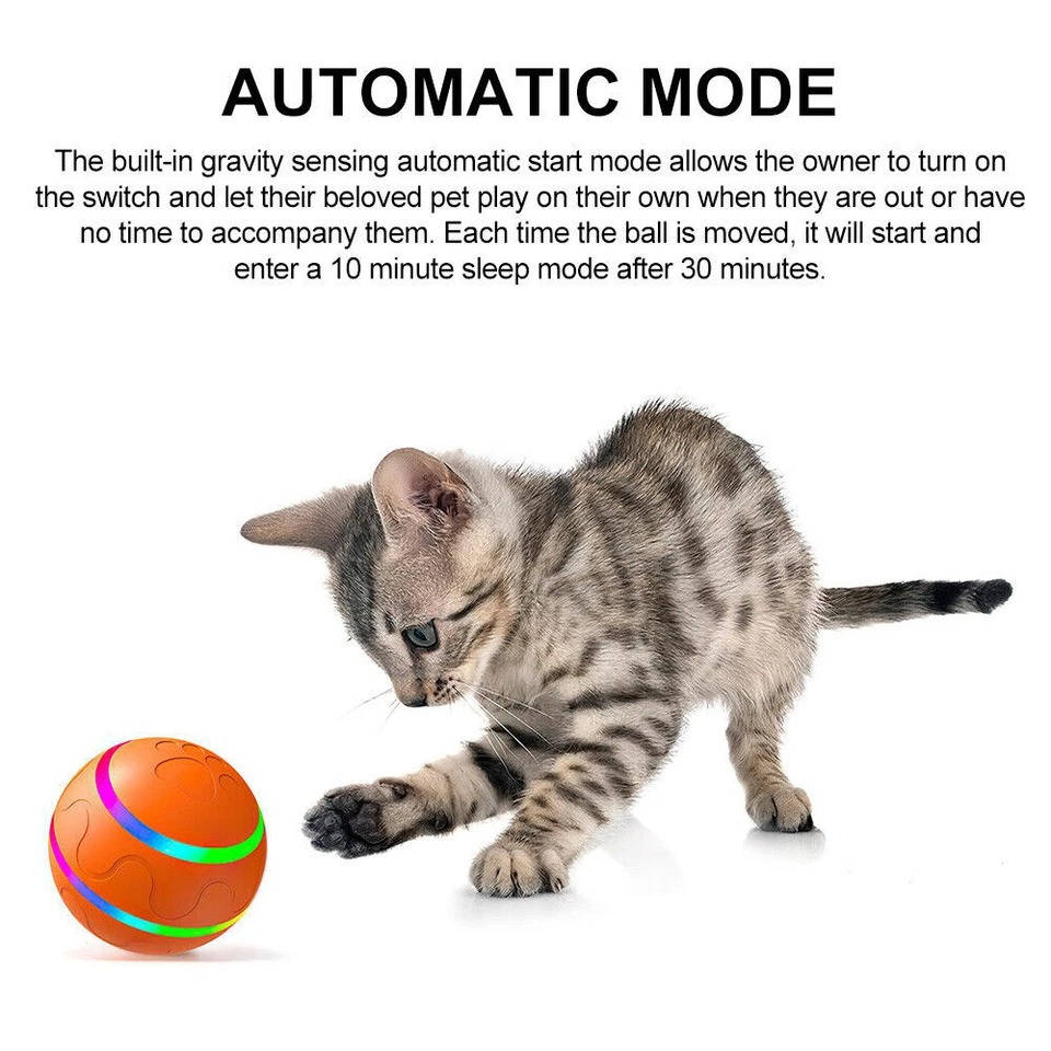 Fun Bouncy Dog Play Ball