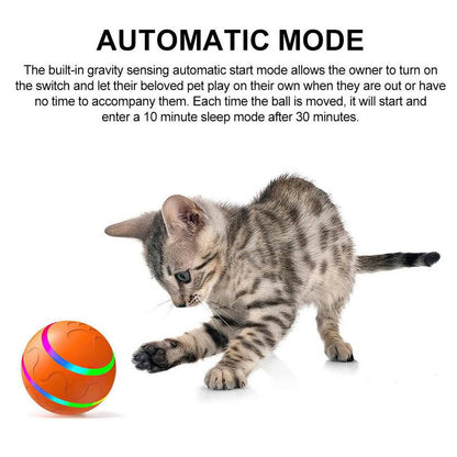 Fun Bouncy Dog Play Ball