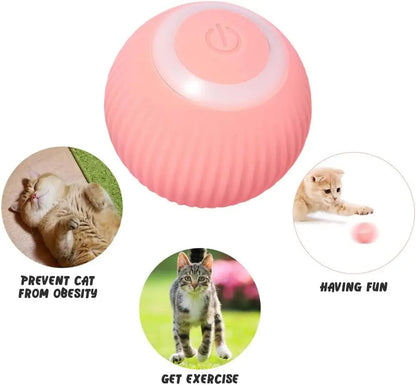 Fun Pet Cat Play Ball Toy