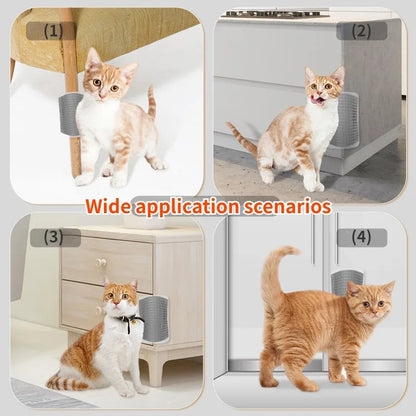 Pet Grooming Cat Wall Brush with Catnip