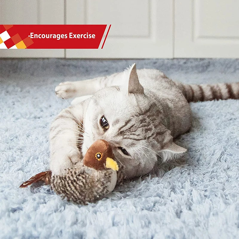 Fun Interactive Cat Bird Toy