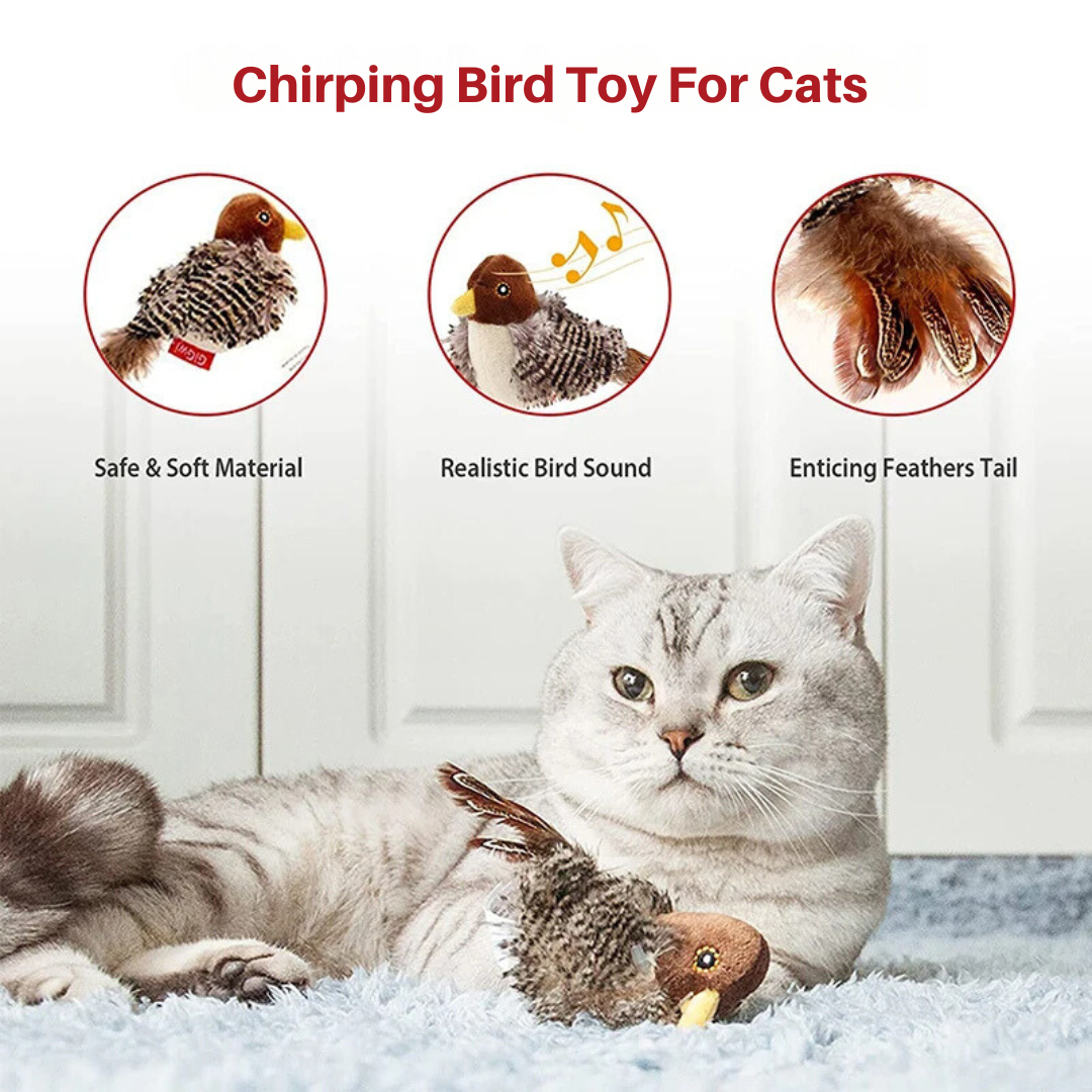 Fun Interactive Cat Bird Toy