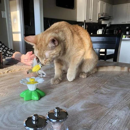 Fun Feather Cat Teaser Toy