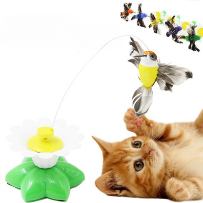 Fun Feather Cat Teaser Toy