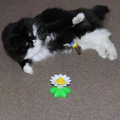 Fun Feather Cat Teaser Toy