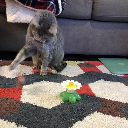 Fun Feather Cat Teaser Toy