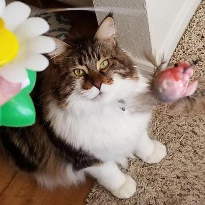 Fun Feather Cat Teaser Toy