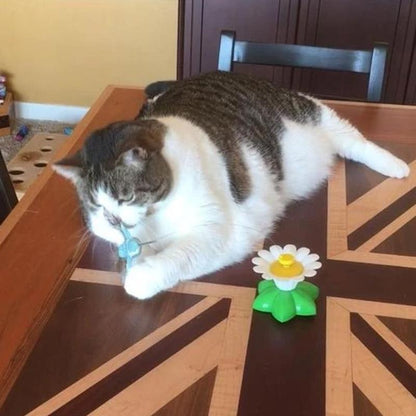 Fun Feather Cat Teaser Toy