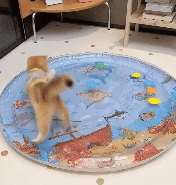 Fun Cat Play Mat with Toys