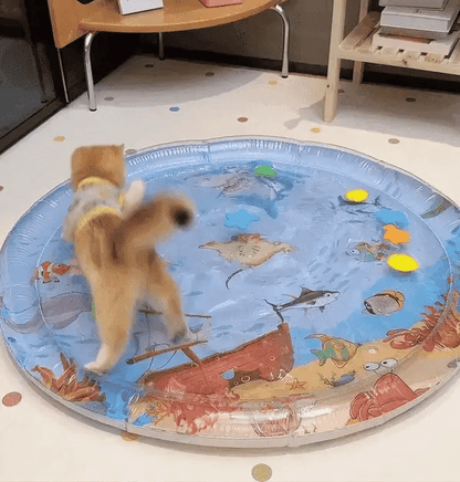 Fun Cat Play Mat with Toys