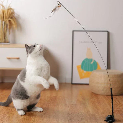 Fun Feather Cat Teaser Toy