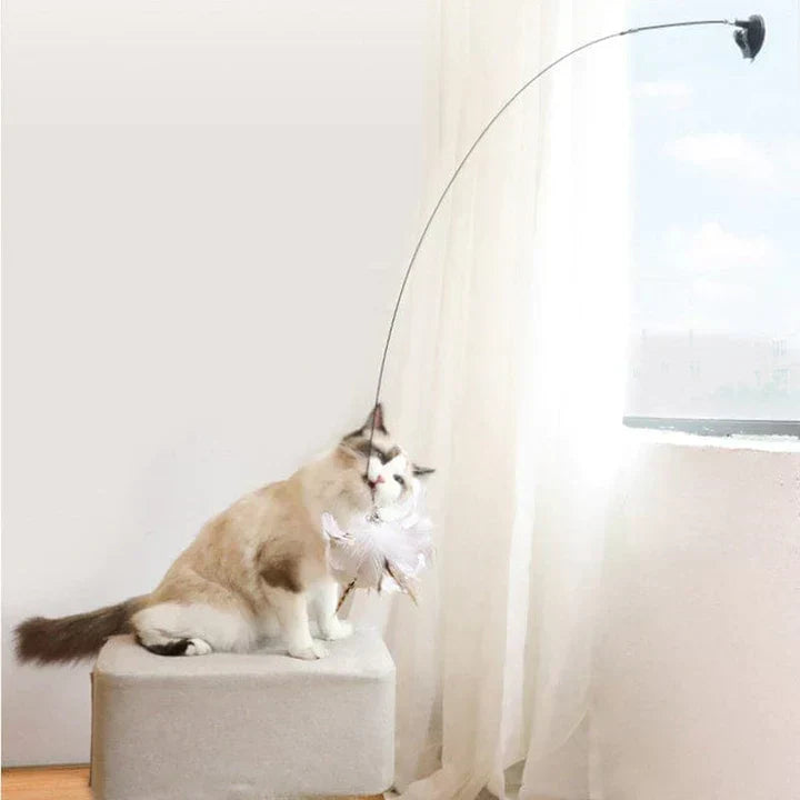 Fun Feather Cat Teaser Toy