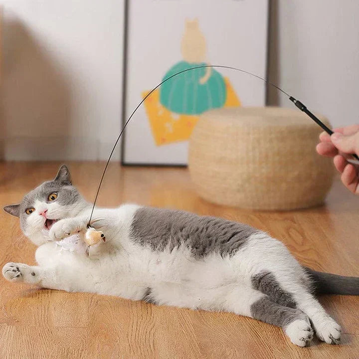Fun Feather Cat Teaser Toy