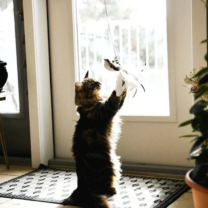 Fun Feather Cat Teaser Toy