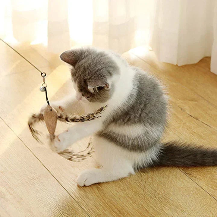 Fun Feather Cat Teaser Toy