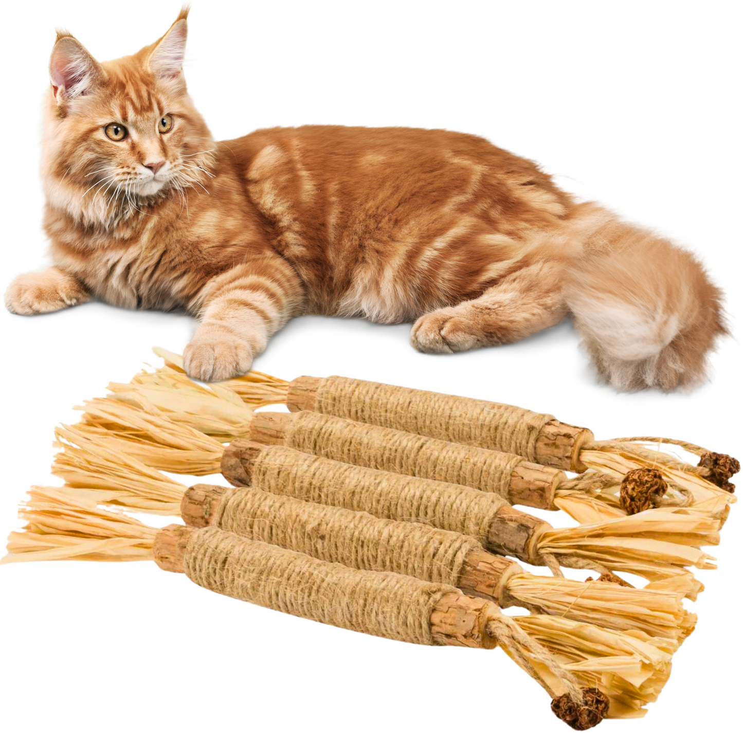 Fun Cat Chew Toys - ChewPlay Befez - Befez