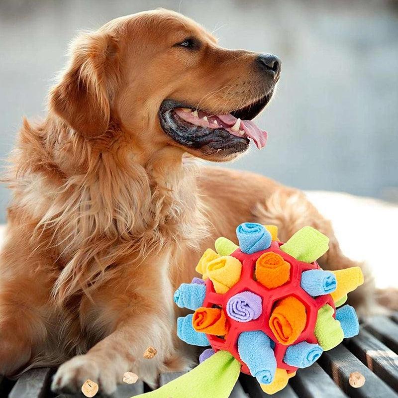 Fun Dog Puzzle Toy