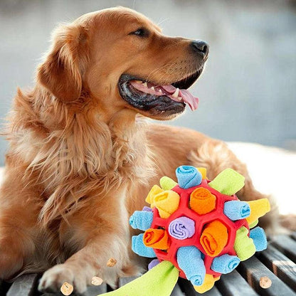 Fun Dog Puzzle Toy