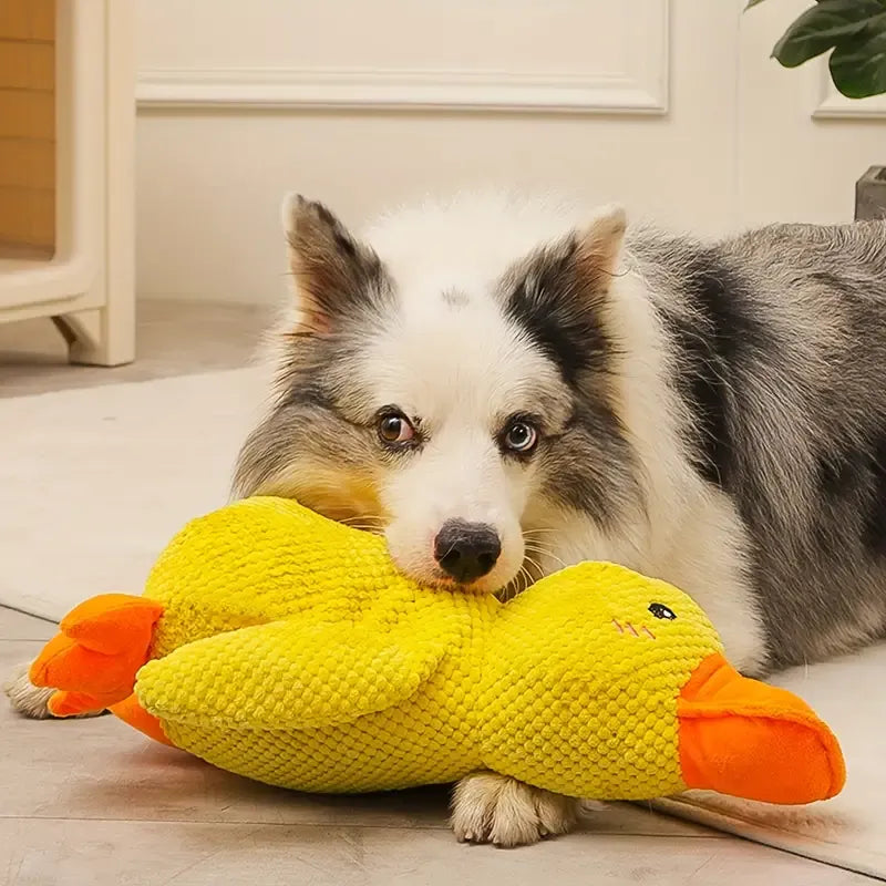 Fun Squeaky Dog Toy with Sound and Cleaning Bristles - Befez